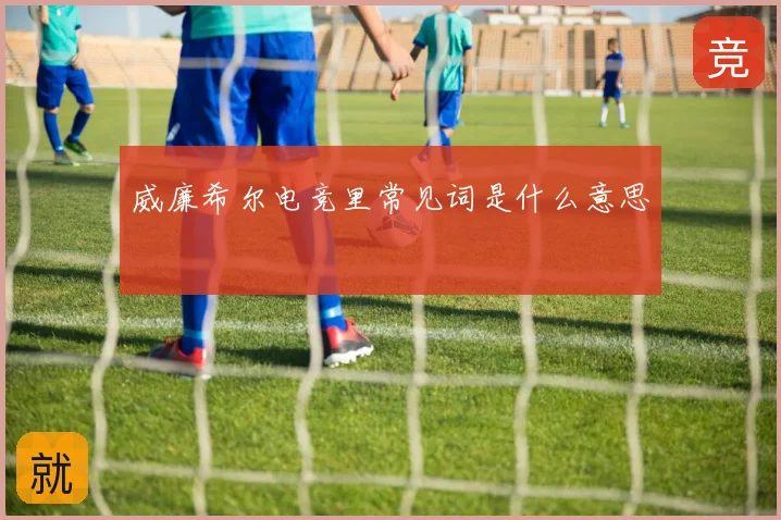 威廉希尔电竞里常见词是什么意思